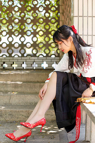 蛋白粉-汉服#侠骨柔情